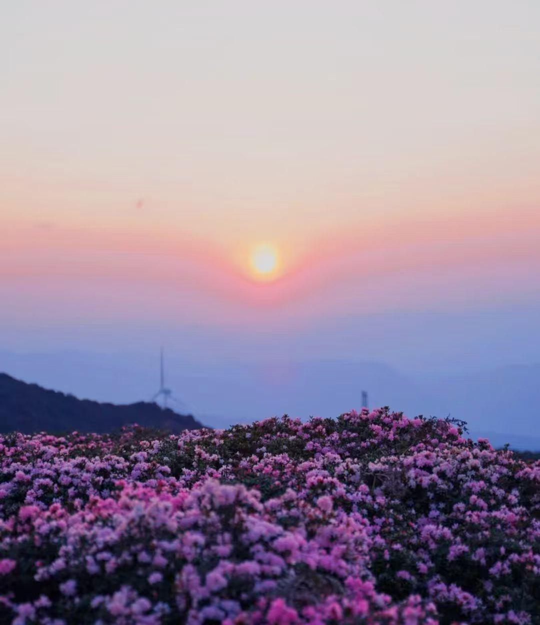 观日落
分享大自然的美