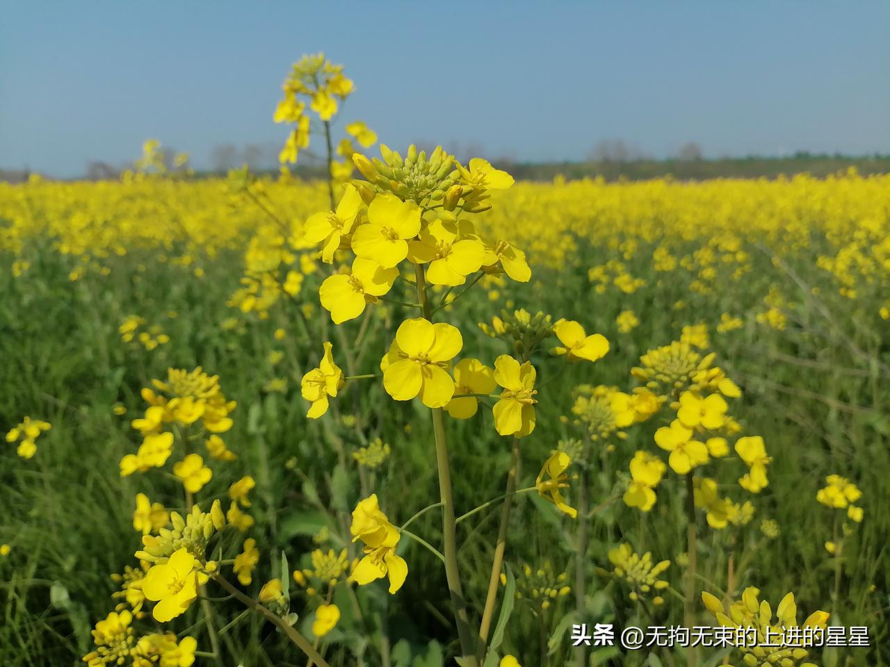 【权威发布·4月2日最新】今日A股 
美伊停火博弈持续 美股收涨油价回落

据新