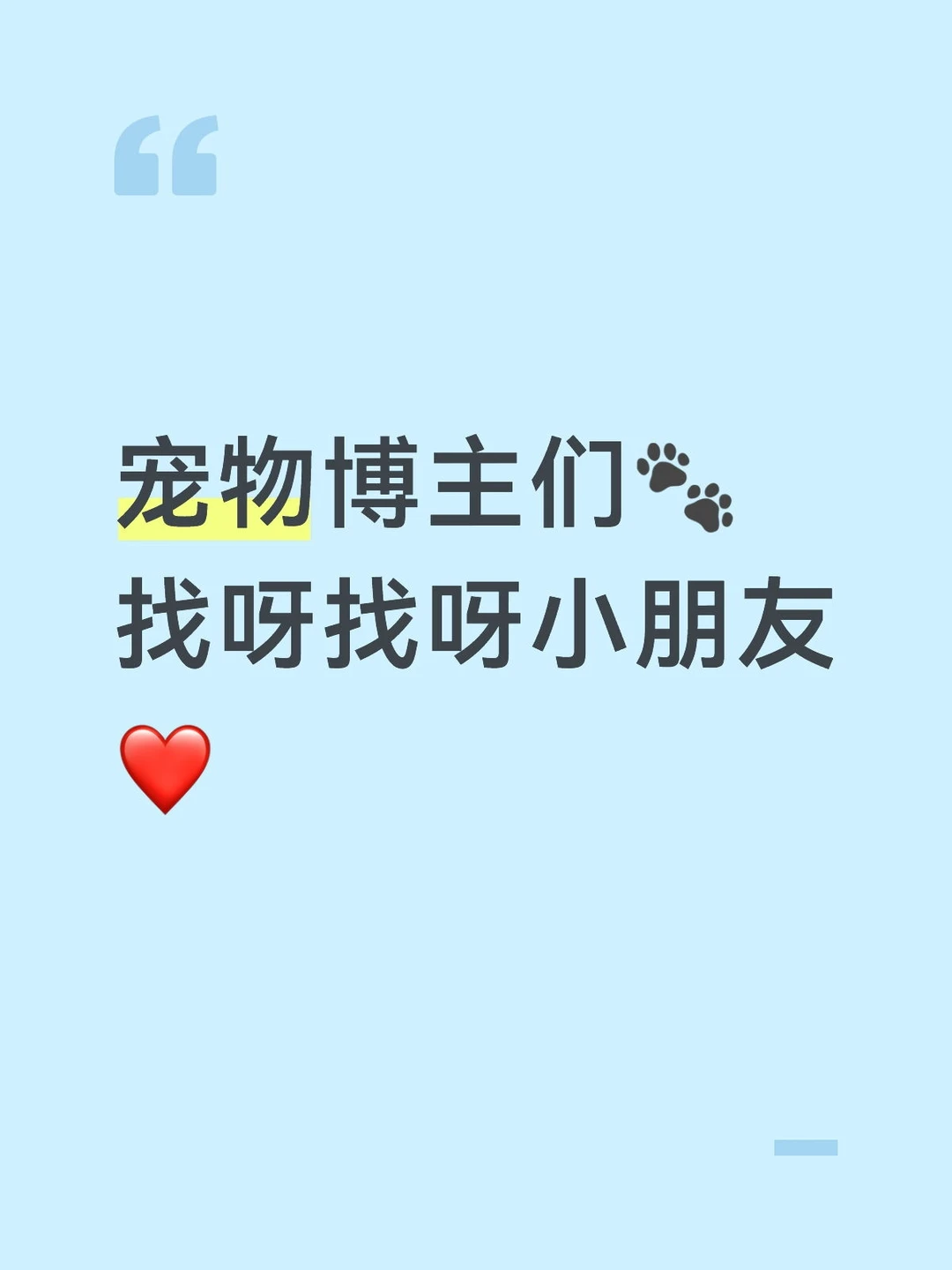 宠物博主们