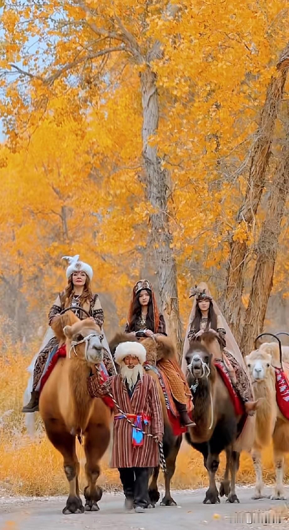 这是我看过最美的秋景之一，仿佛来到了童话世界，树上的叶子是那样的黄，像黄金叶一样