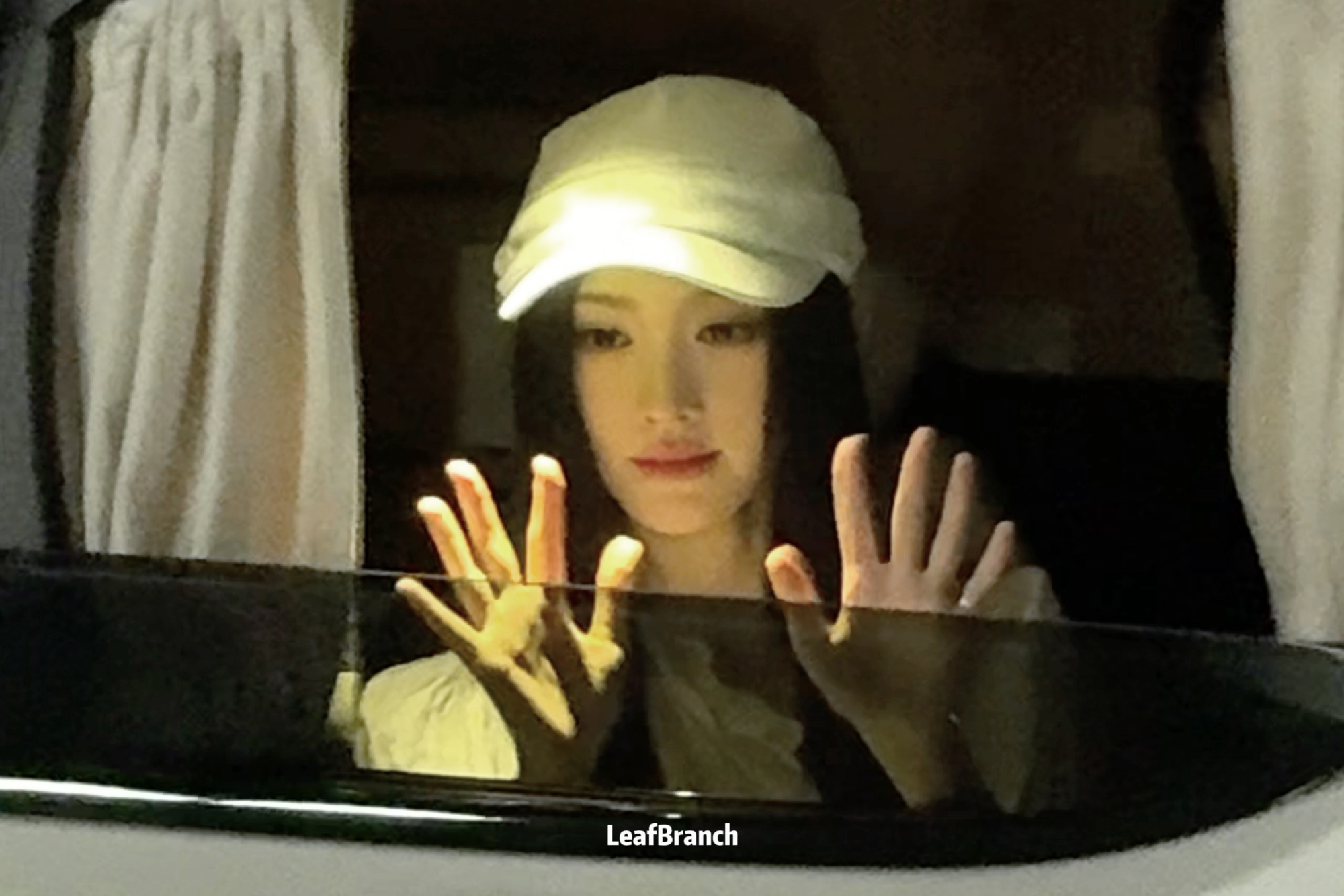 鞠婧祎 jjy鞠婧祎苏绿夏 ₊⁺🍀 ☘︎ ˖ ⁺ 你是我の第四片葉子˚ஐ⋆⑅˖