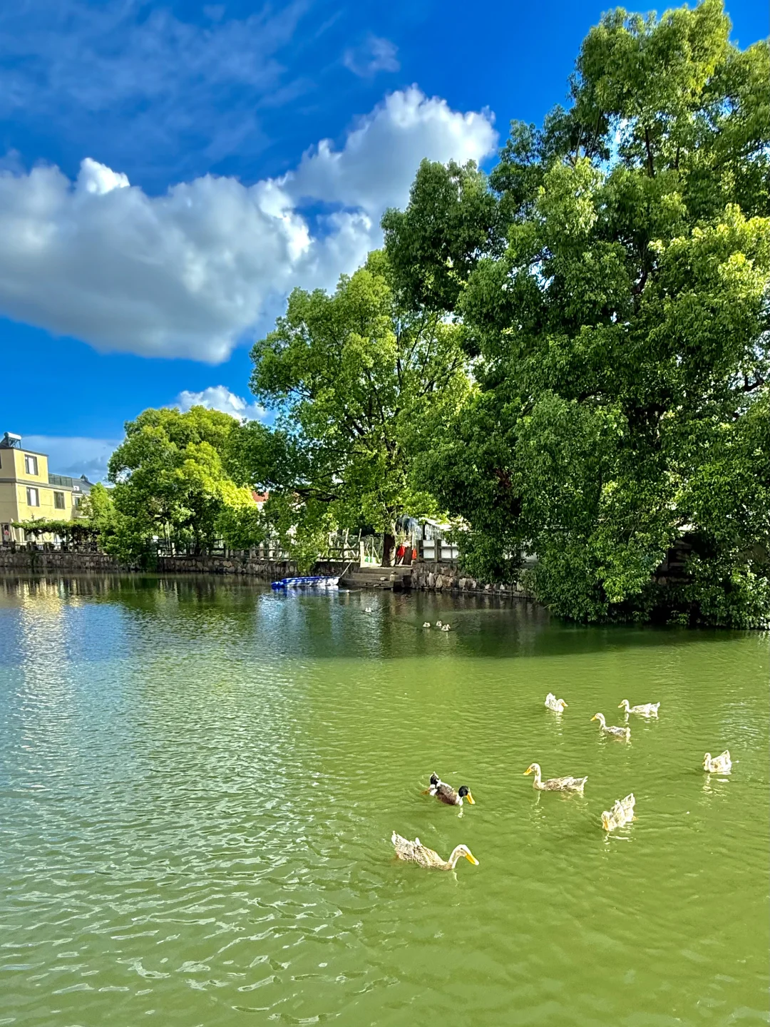 好羡慕生活在苏州的人啊！