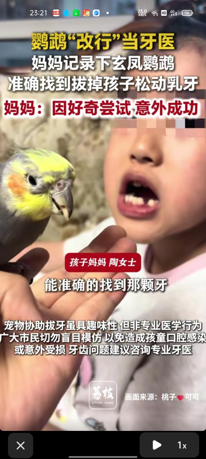 6月11日，甘肃兰州。孩子妈妈陶女士称，几个月前孩子掉第一颗下牙，网上看到说鹦鹉