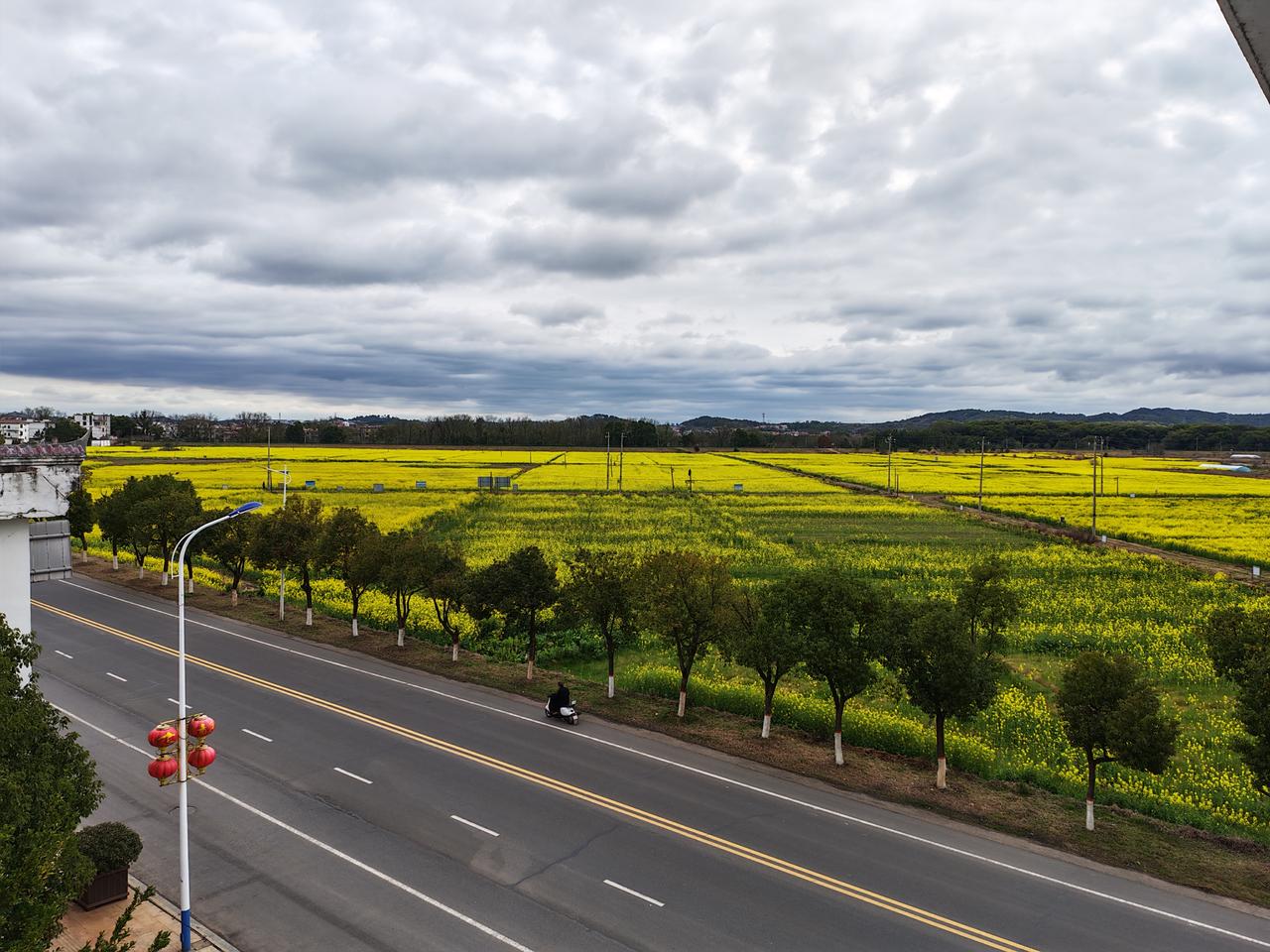 分享一下你随手拍下的照片