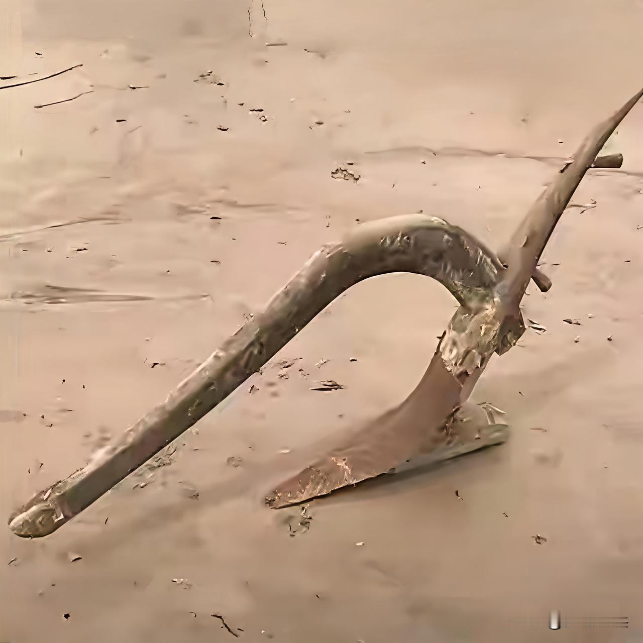 这东西问了200多个城市人都不认识？全部都蒙圈了，吞吞吐吐回答不出是什么，只要你