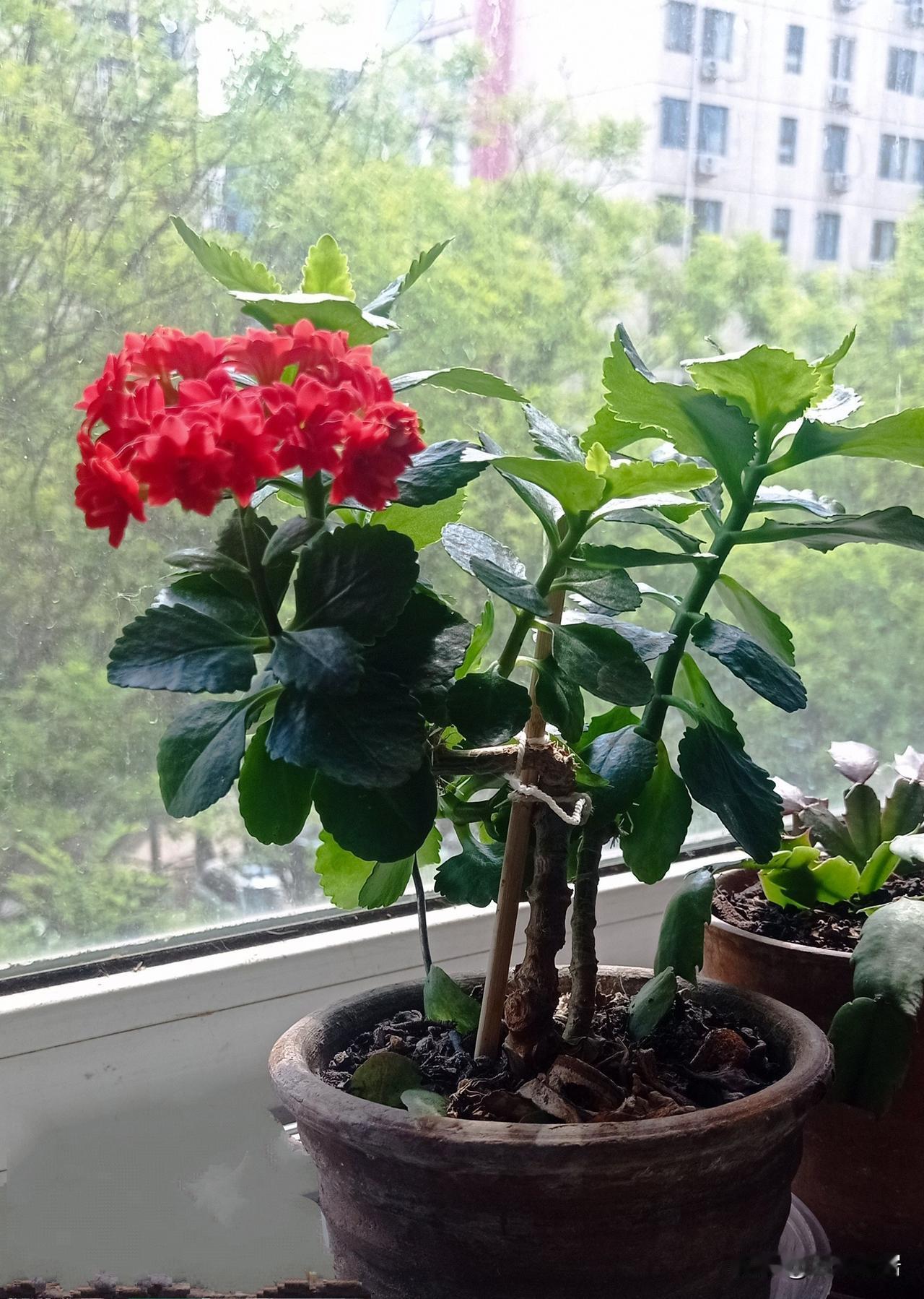 上联：一二三四四季如春，
下联：六七八九九州同乐。