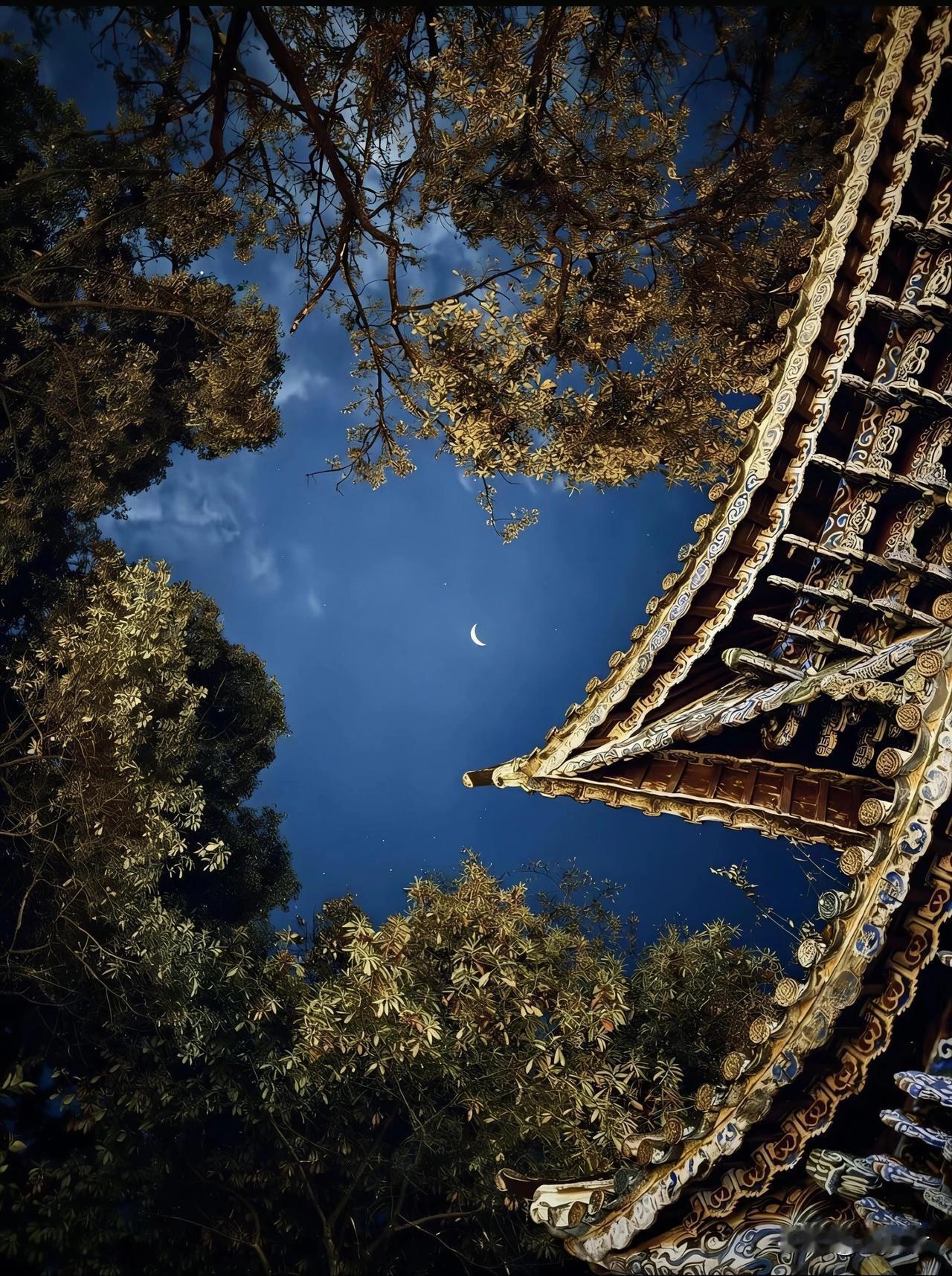 四月芳菲一夜除，孤灯照壁影偏孤。
帘垂深院风翻絮，梦断空阶雨打梧。
万缕情丝缠旧