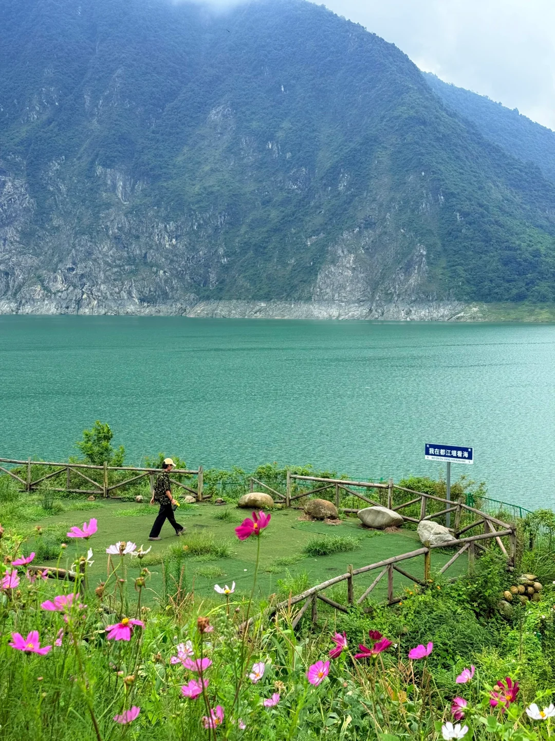 成都周边🚘1h！巨漂亮的花海露营地！免费的……