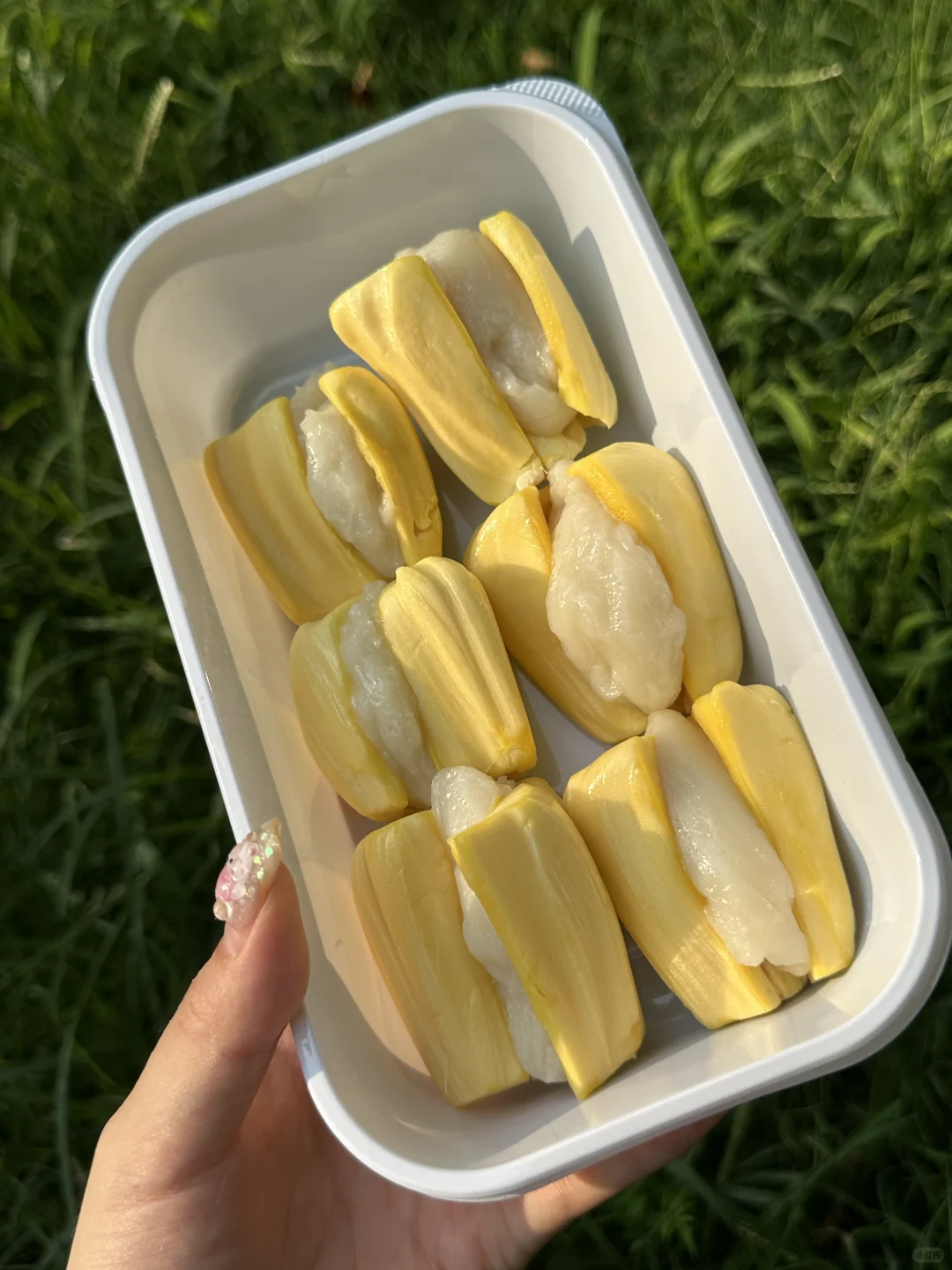 宿州敲好吃的菠萝蜜包麻糍和芒果大福！