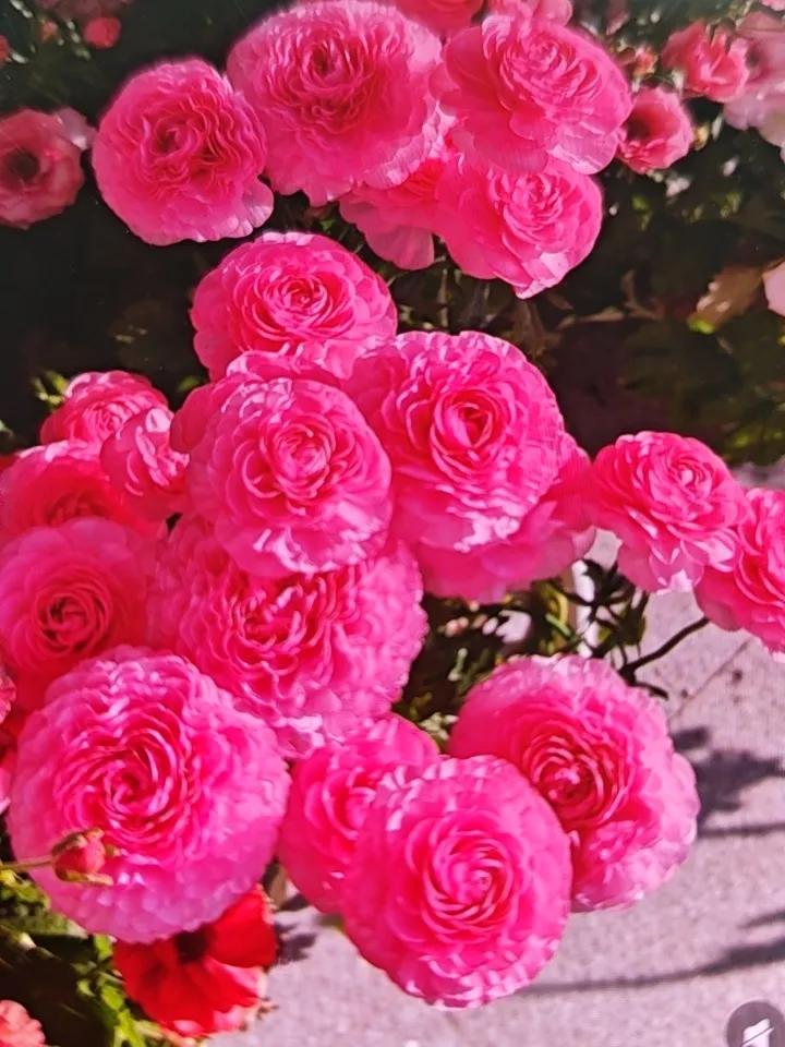 横批：随遇而安！