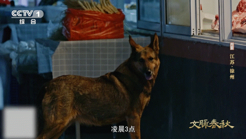 夜猫子集市有300多年历史大运河的深夜补给站徐州窑湾这个“夜猫子集”延续300年