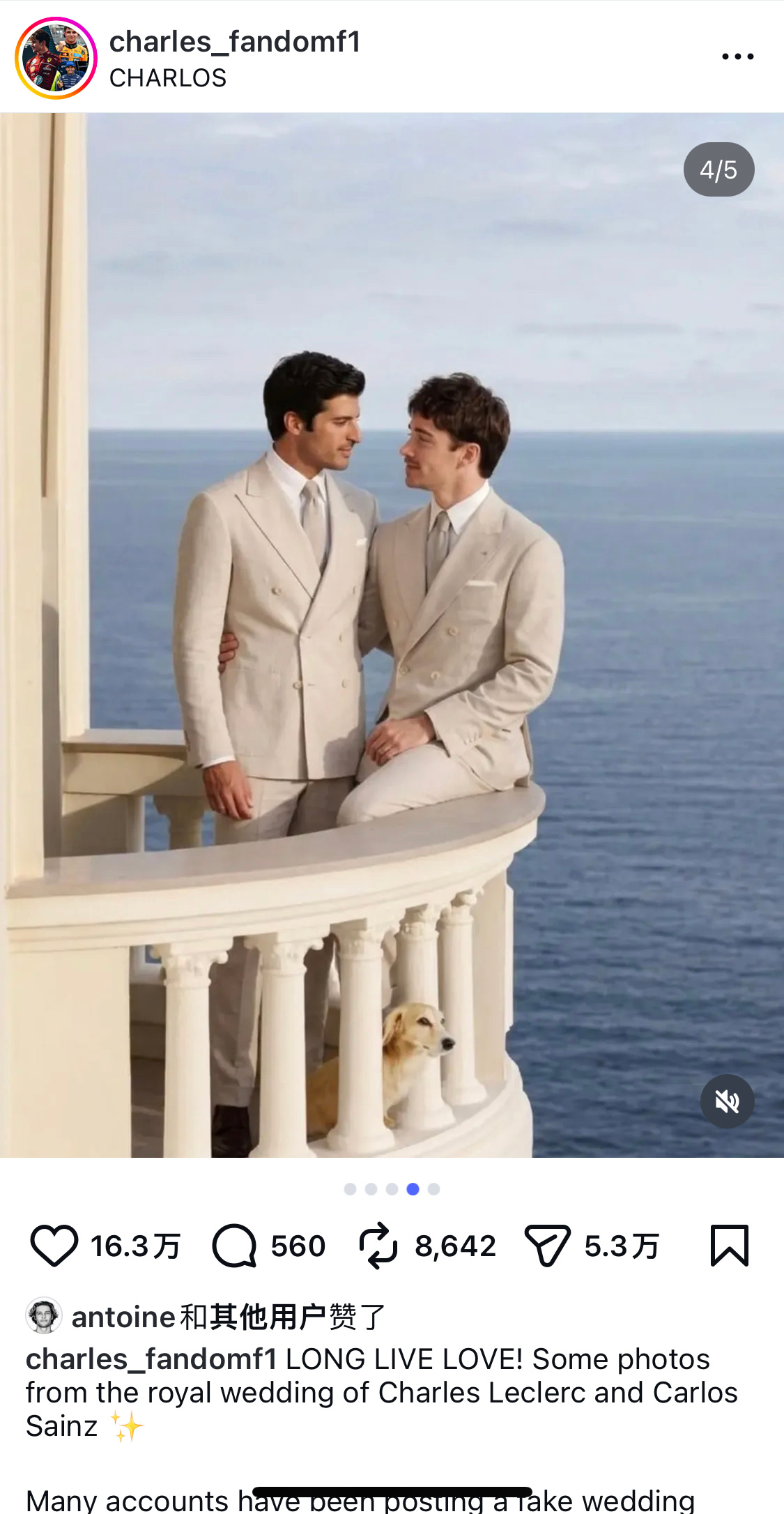 这摄影师真是什么都敢赞啊😮🙊勒克莱尔结婚｜5516