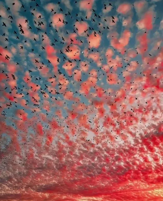 美图欣赏——天际间的温暖归属