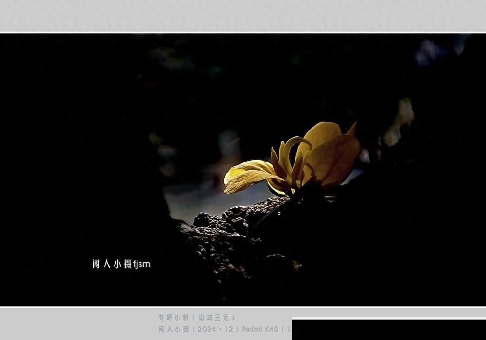 手机摄影别再找“光圈按钮”了，大多数手机镜头其实早已固定光圈
2009年2月17