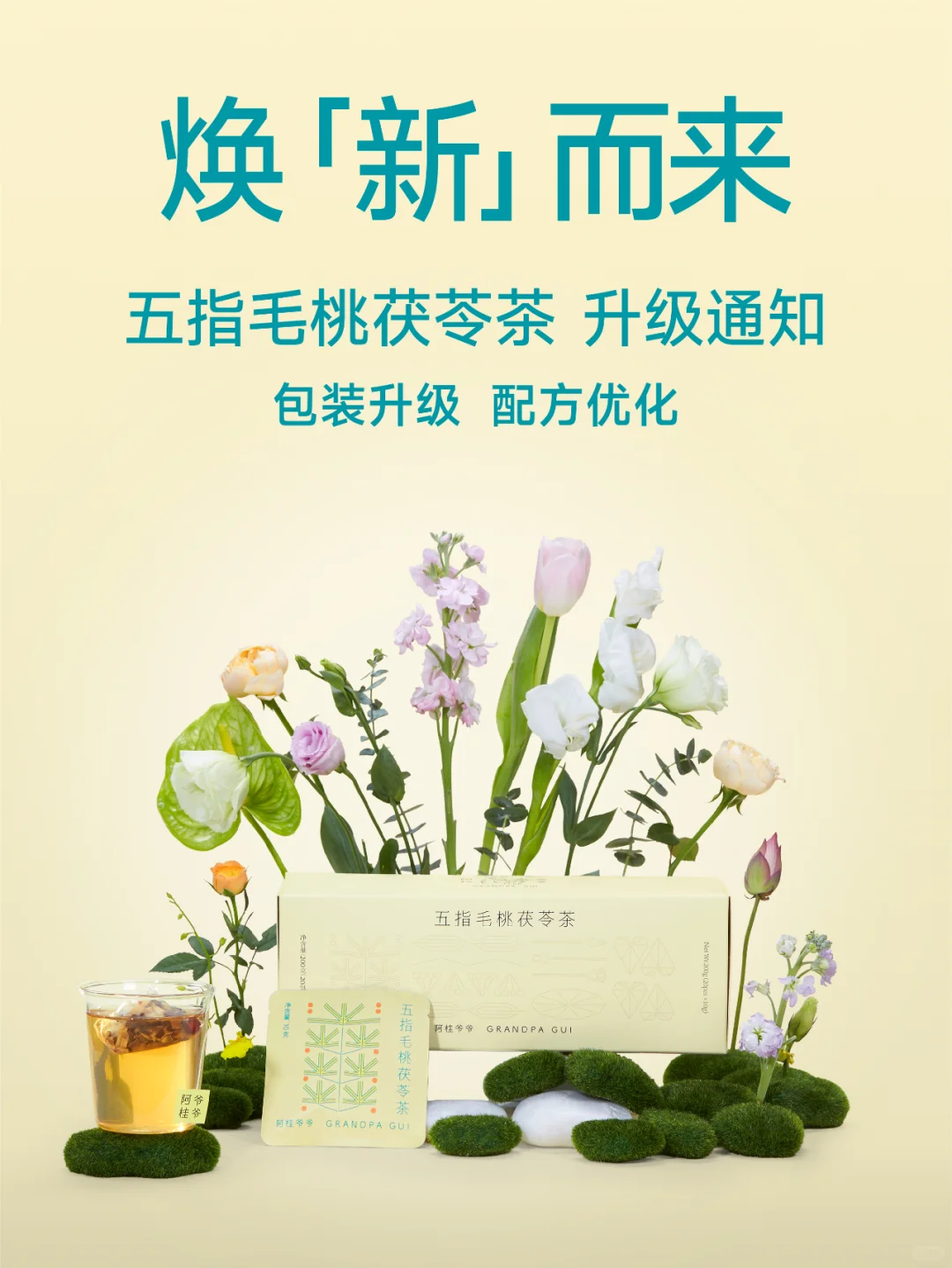 换新升级丨五指毛桃茯苓茶包装升级为盒装啦