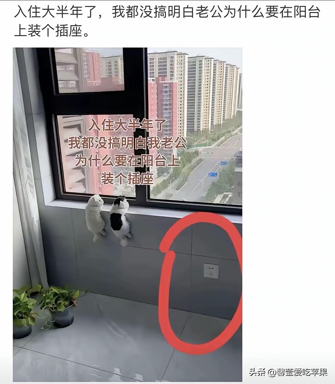 不是，作为女生，我居然秒懂[我想静静][我想静静][我想静静]