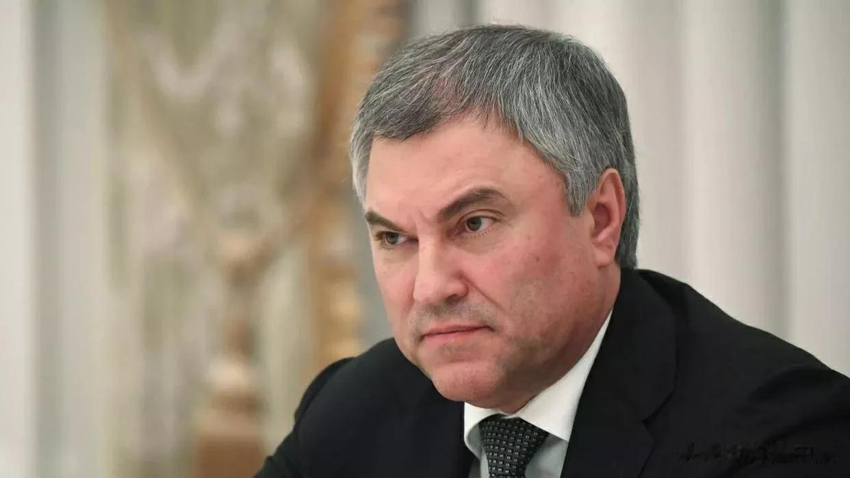 俄国家杜马主席：尽管有机会表达不同观点，但无人支持叛乱

来源:俄罗斯卫星通讯社