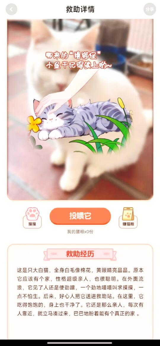 回森，是个有爱温暖的地方~