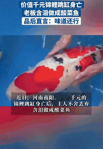 河南一男子回到家，刚开门就看到地上有一滩水，结果凑近一看，竟然是自己自己价值千元