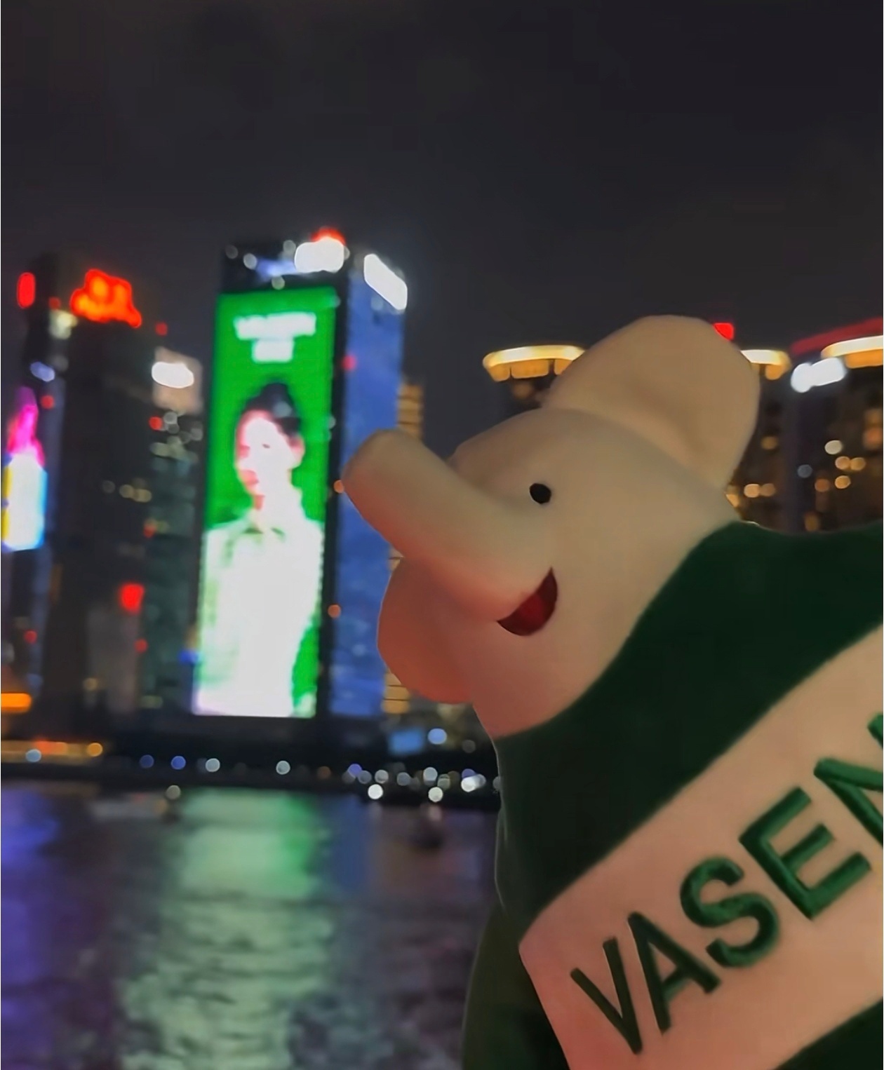 刘诗诗伟星水生态代言人  伟星为刘诗诗点亮十几层大厦的大屏地广，还是在人流量最多