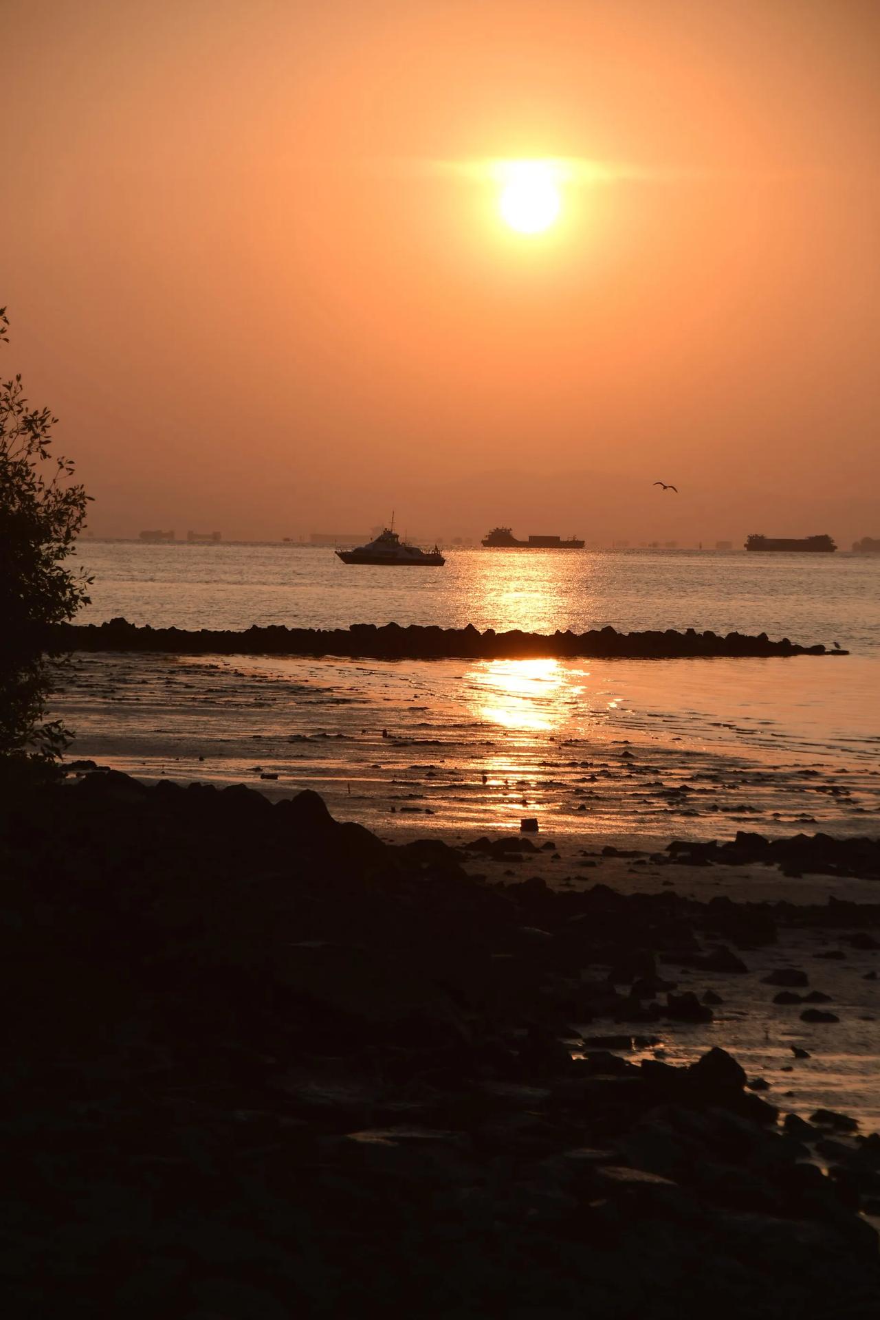 夕阳西下，海鸥飞翔，静谧海岸线，船只停泊，宁静的傍晚。海上牧场落日 渔人码头的日