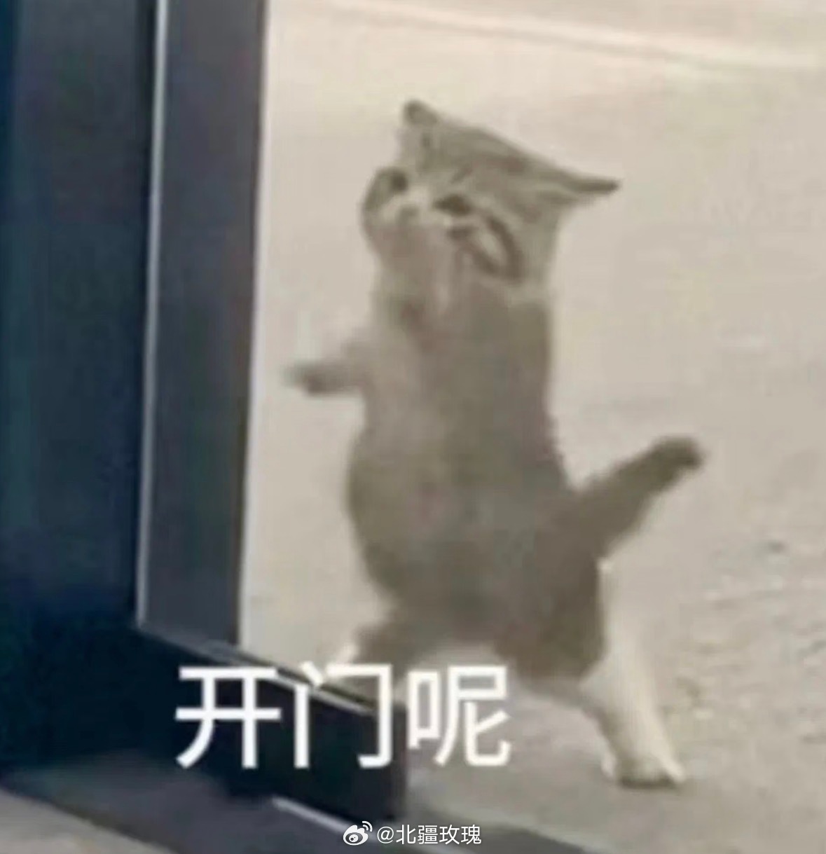 缘浅缘灭，从不强求下一个更乖xixi