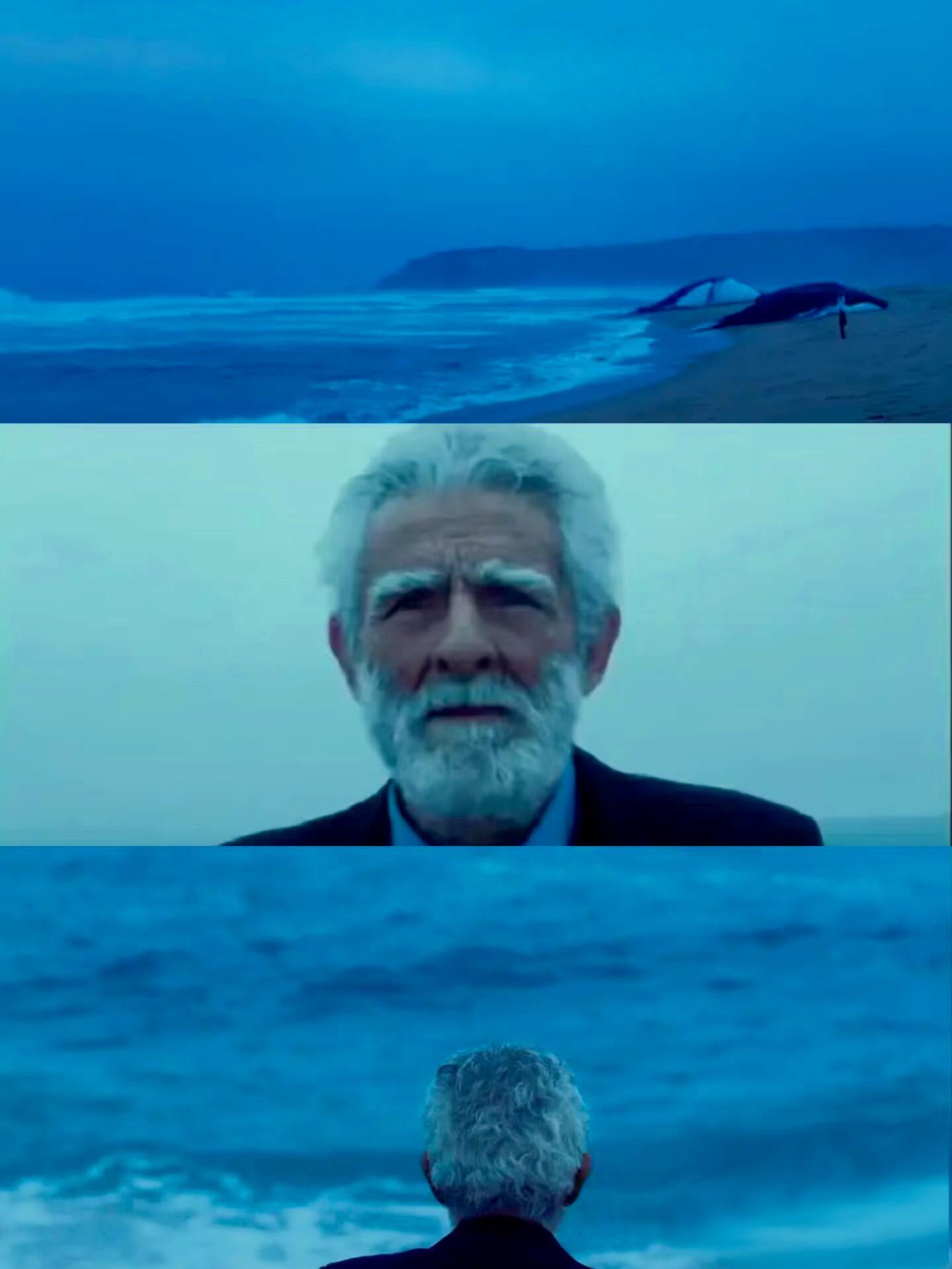 《遗忘诗行》电影的画面极美，每一帧都有油画般的质感，特别是看到蓝鲸腾空而起，跃出