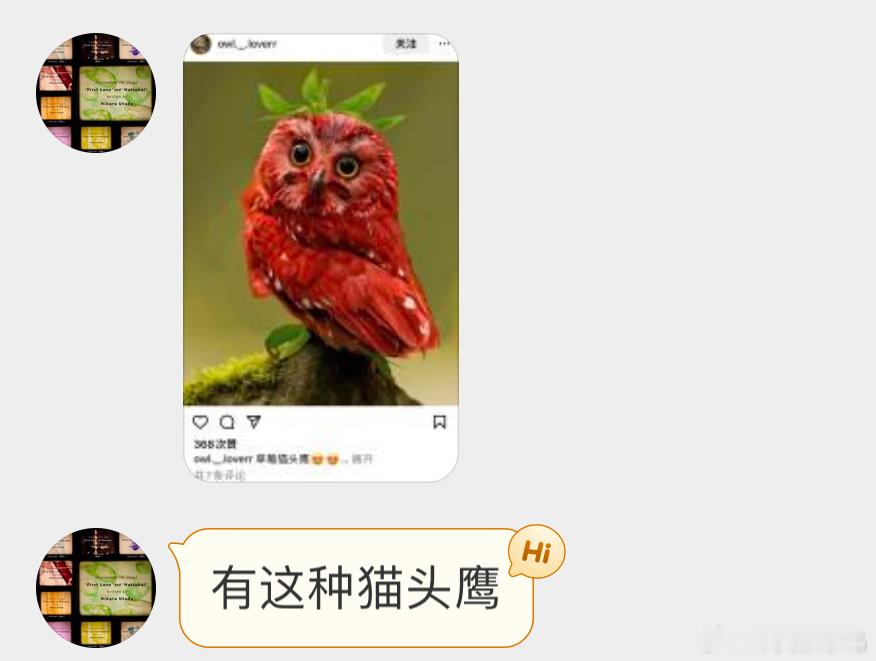 是棕榈鬼鸮🦉只不过颜色是P的 ​​​