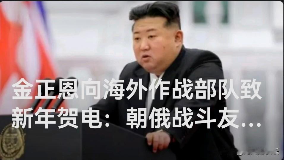 金正恩向海外作战部队致新年贺电：朝俄战斗友谊、同盟关系进一步巩固

   据外媒