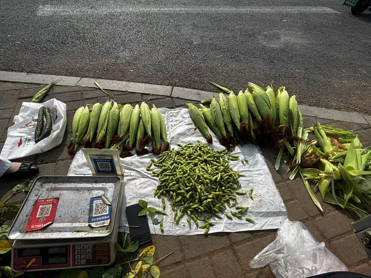 用一句话证明你看过武林外传葵花点穴手对上排山倒海，平凡客栈藏尽世间温情与欢喜。
