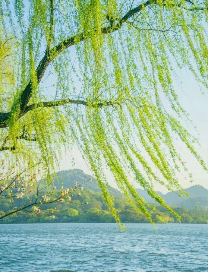 相思儿令 · 霁野春风

霁野踏青闲步，风暖薄衫柔。犹似母亲轻抚，温意指间浮。