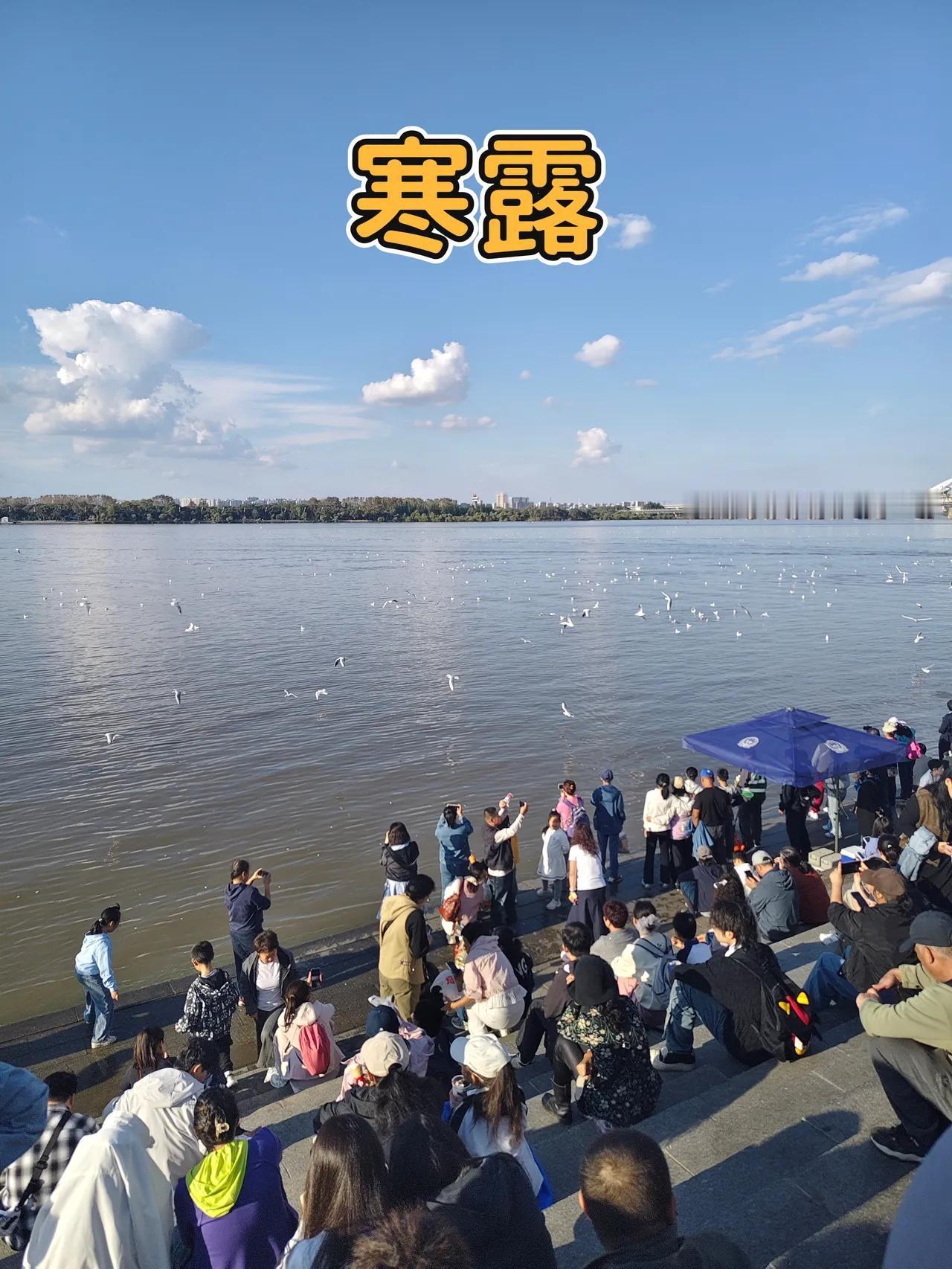 今年寒露不一般！ 2026寒露10月8日交节：秋分尾段转寒露的时令说明

按天文