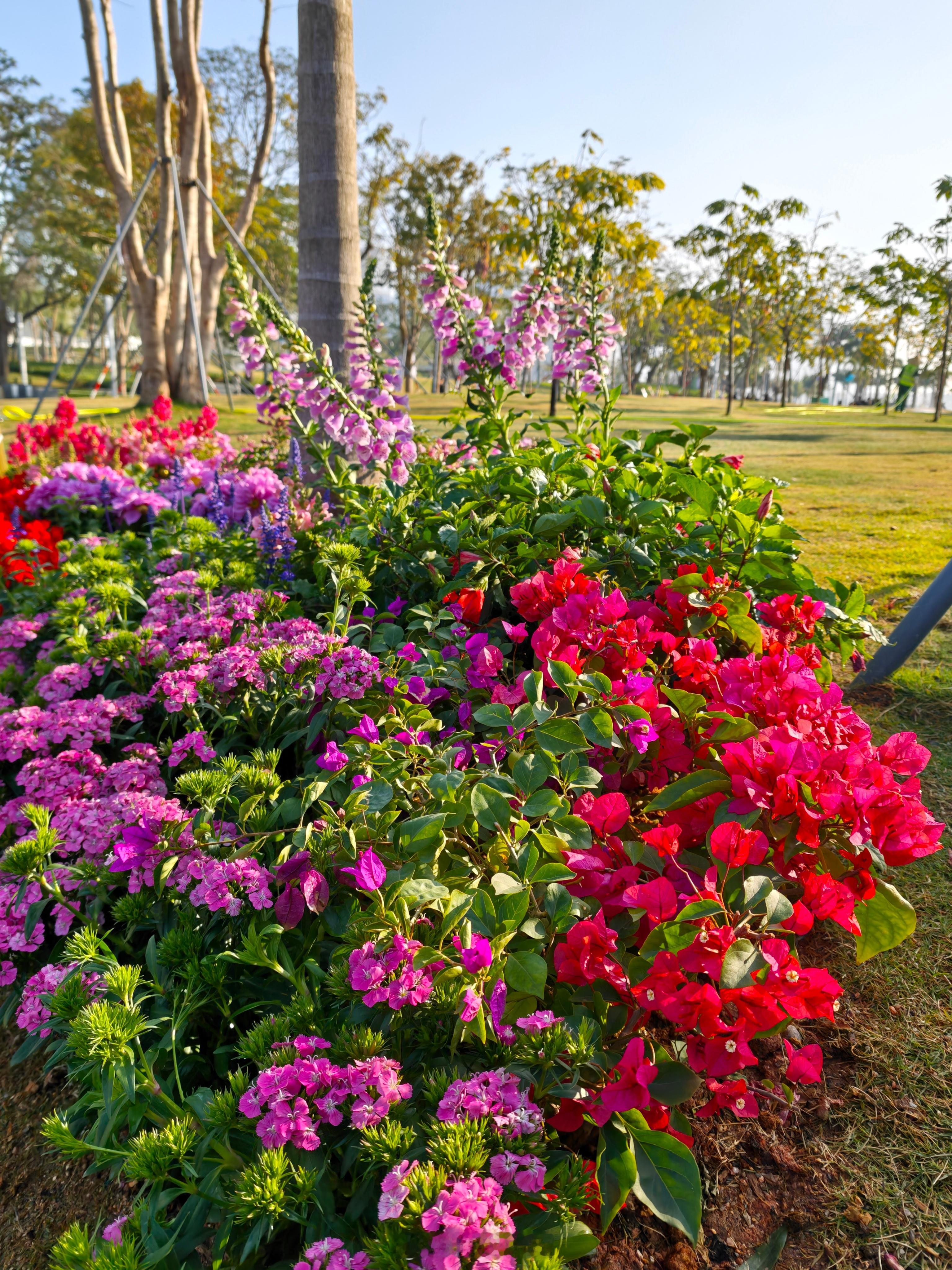 立春今日立春！这个世界没有真相，只有视角别人眼中的你不是真正的你你眼中的你也不是