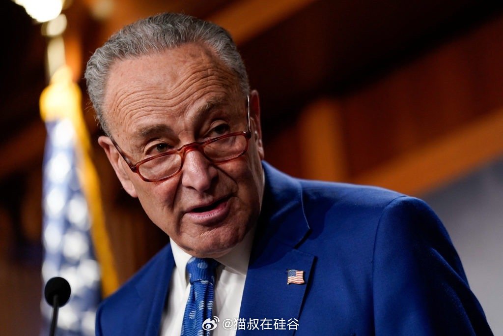 美国政府重开了，最大的输家是——舒默。民主党进步派对本党参议员放弃抵抗表示非常愤