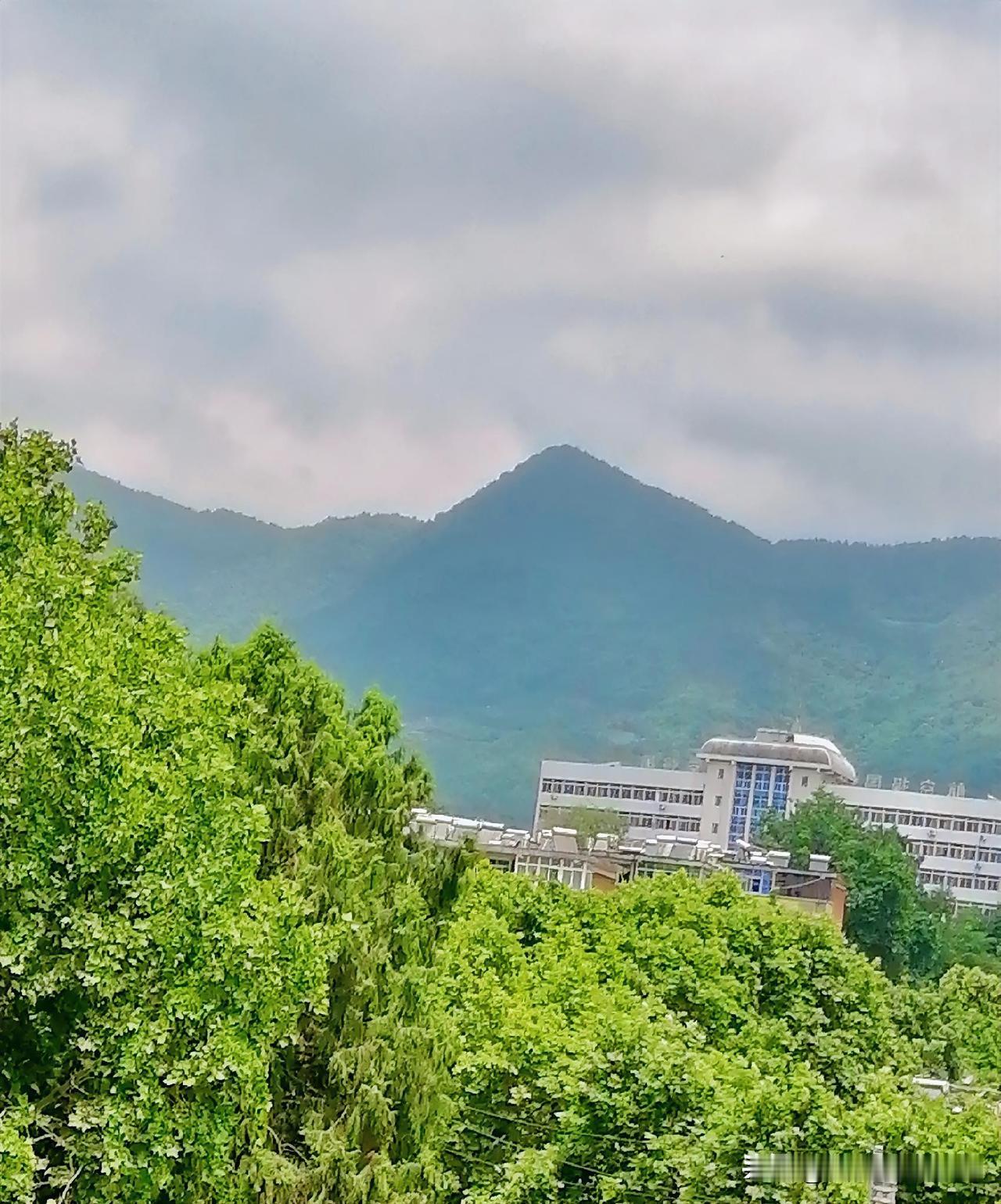 《秦岭南麓之近景（李林摄于汉中城固）》