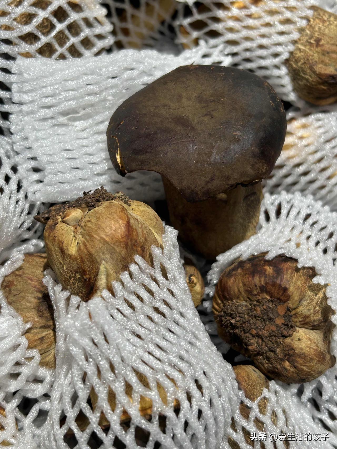 第一次见新鲜牛肝菌！

以前只见过干菌片，闻了一下，倒是不怎么香，价格还不便宜。