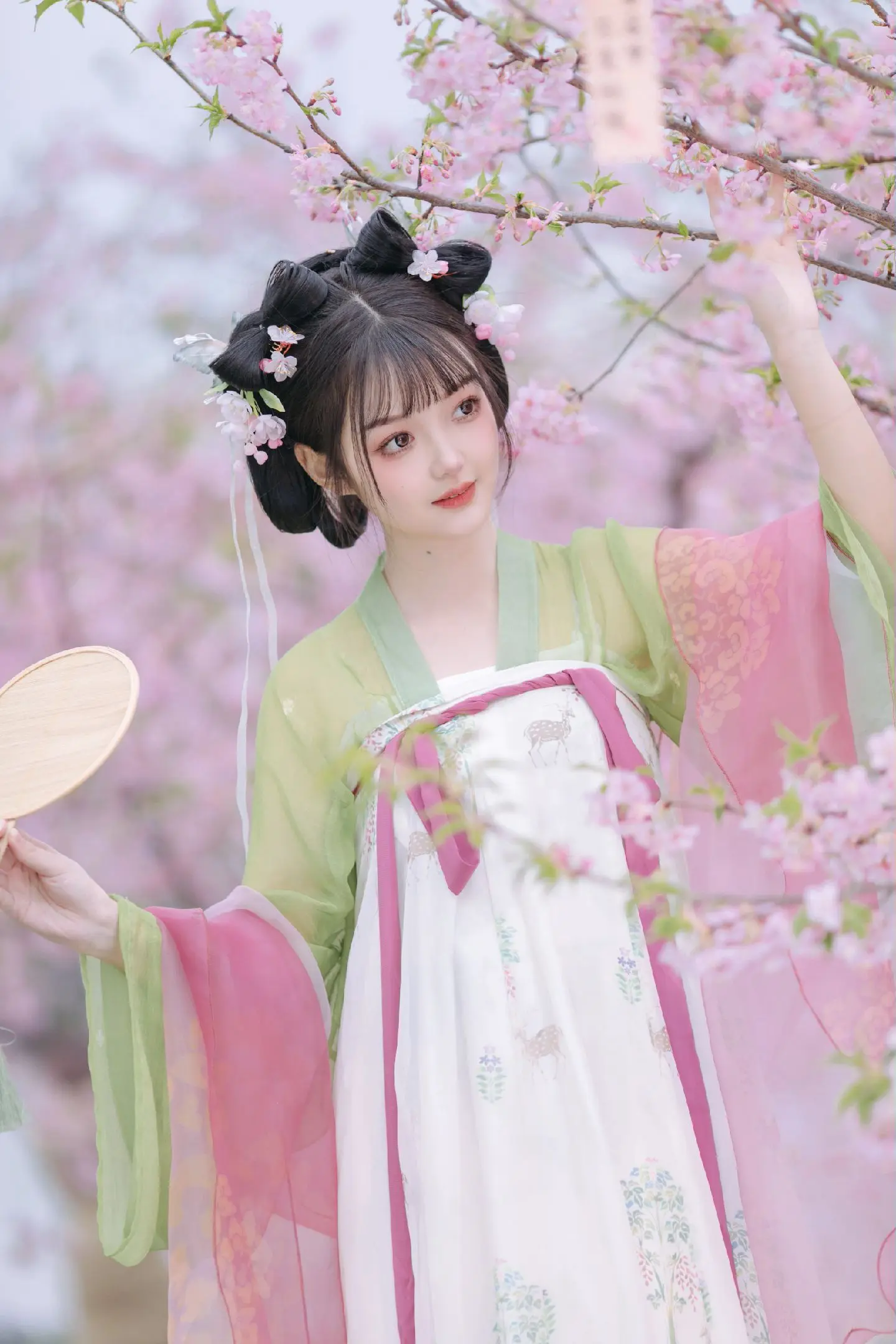 江南又逢春~