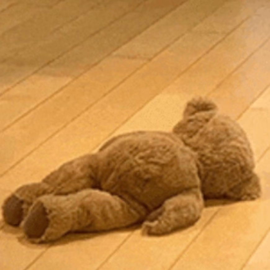 原来忌口辛辣是忌这些葱姜蒜一出来我就知道自己忌不了辛辣了，炒菜至少得放一样吧 