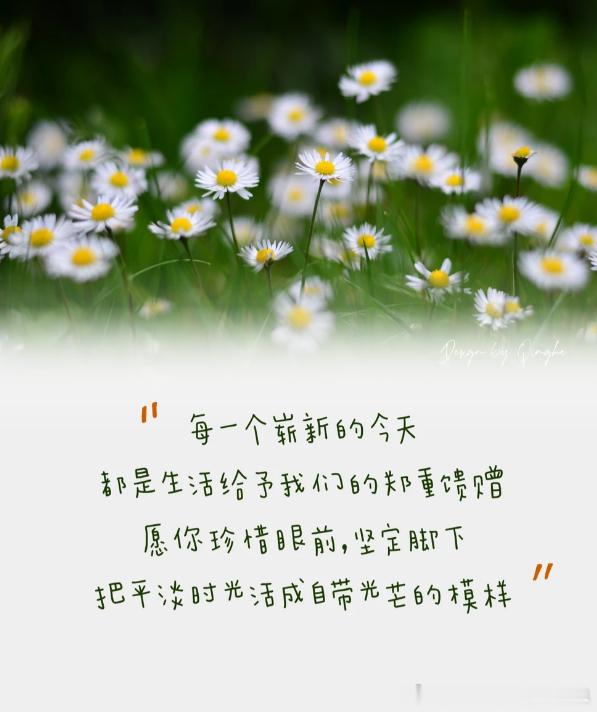 每一个崭新的今天都是生活给予我们的郑重馈赠愿你珍惜眼前，坚定脚下把平淡时光活成自