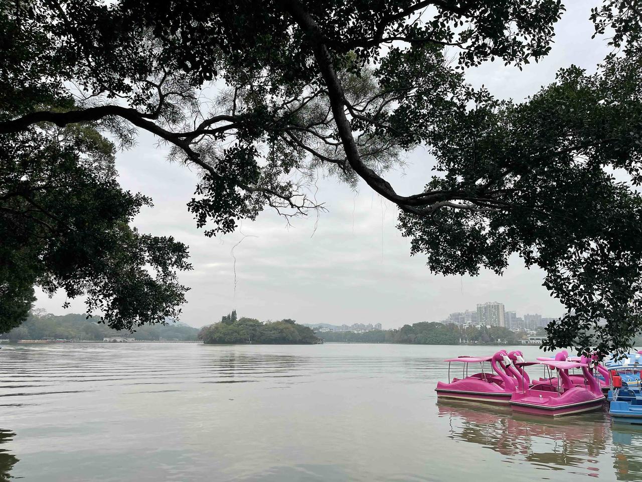 今天是苏东坡的生日，用刚刚惠州拍回的照片以纪念。
当年苏东坡寓居惠州期间，曾写下