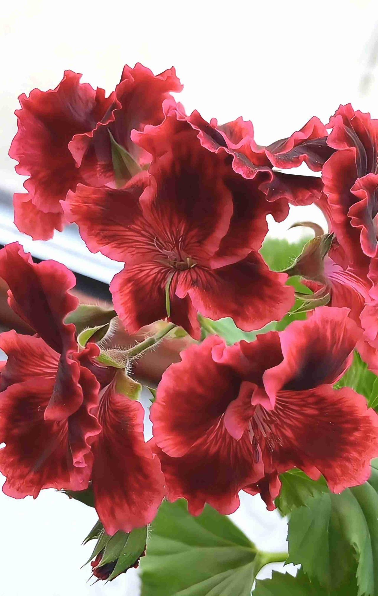 我的今日状态：😁轻松愉快
我这里的天气：☀️晴天，气温零上2℃至零上11℃，真