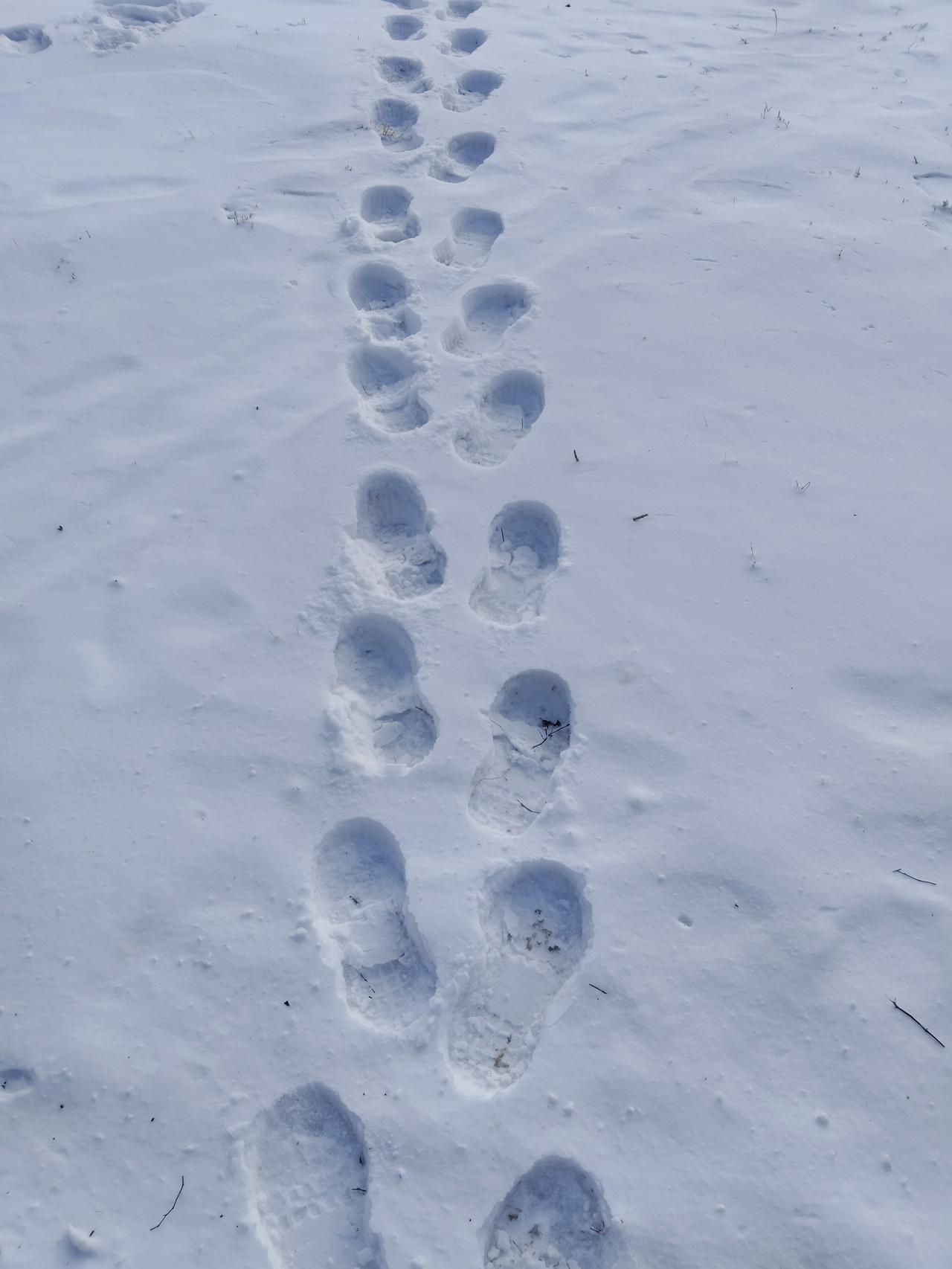 这周的收益必须晒晒！

我可以坚定地说，全网收益谁也比不过我，没有之二！

我看