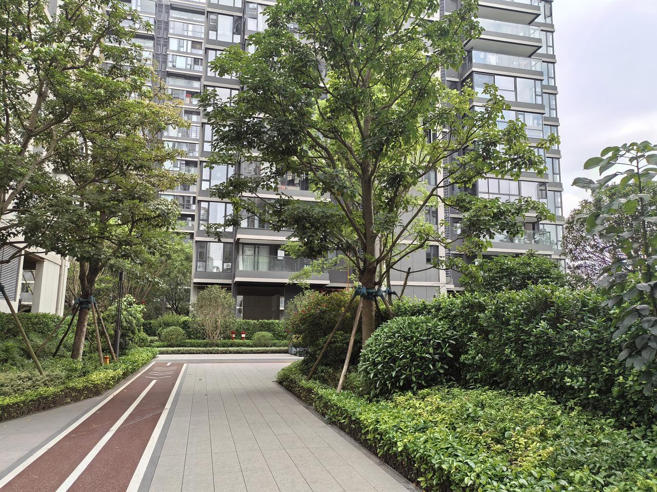 这小区绿化还是不错的，错落有致，绿树成荫，名贵花草，绿绿成叠，花开花落，景色优美