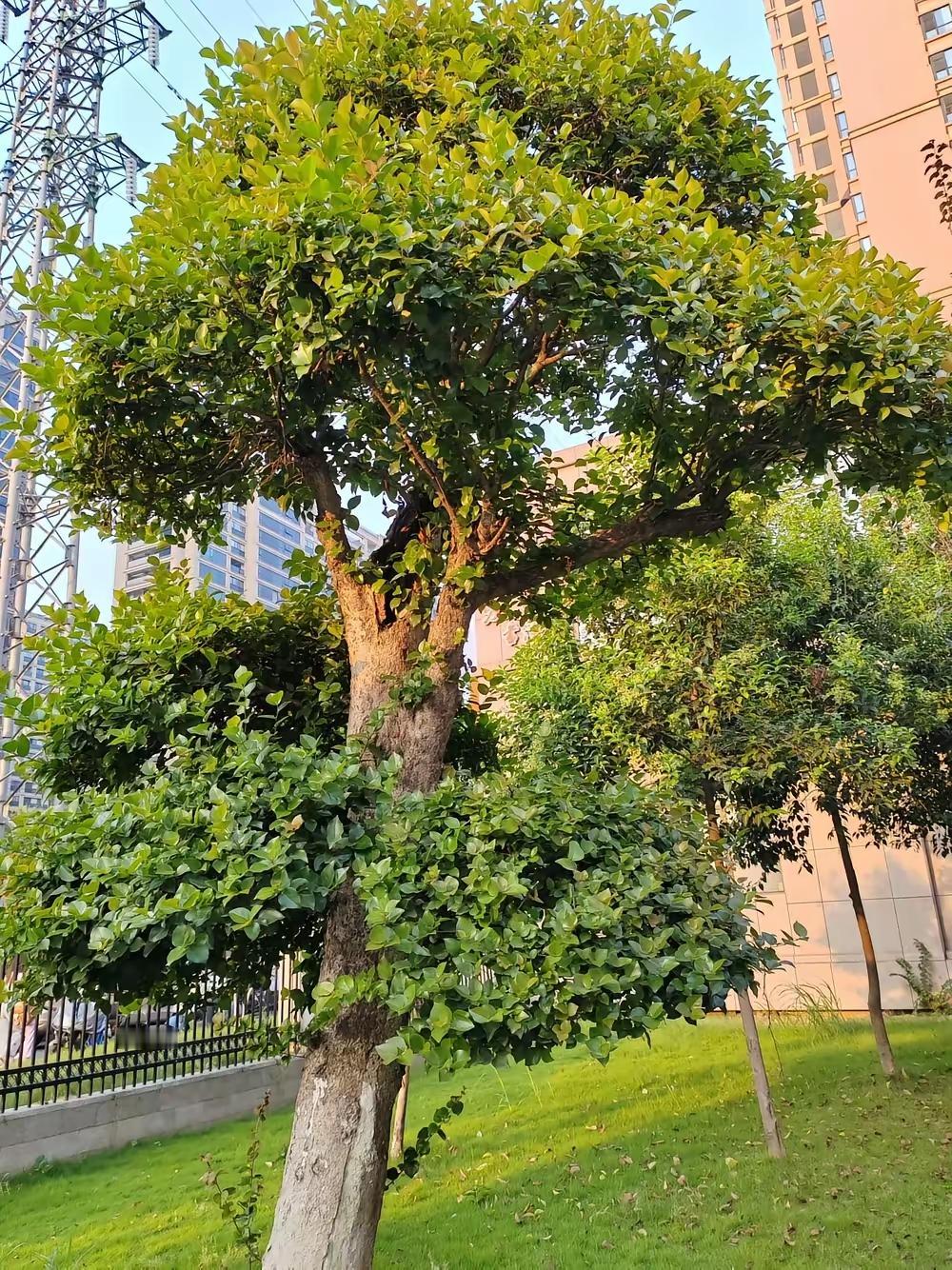 从0阅读到结识一群朋友，头条写作让我找到了真正的快乐
从个位数的阅读量到心态变得