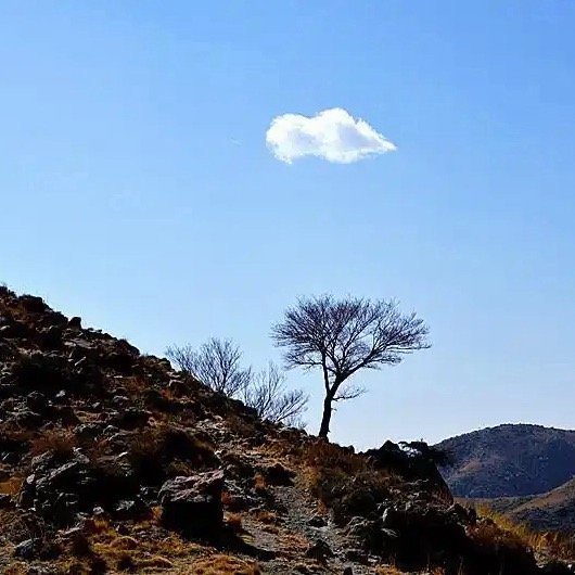 晚安，三无量。但望青山去，何山不是缘。 