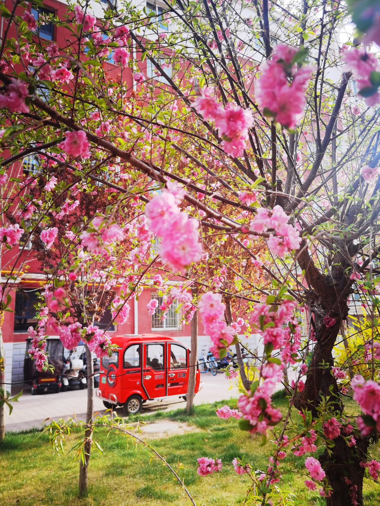 你喜欢的春天是啥样的呢？
春天啊，就像是一场浪漫的“重启键”被按下，是希望的开篇