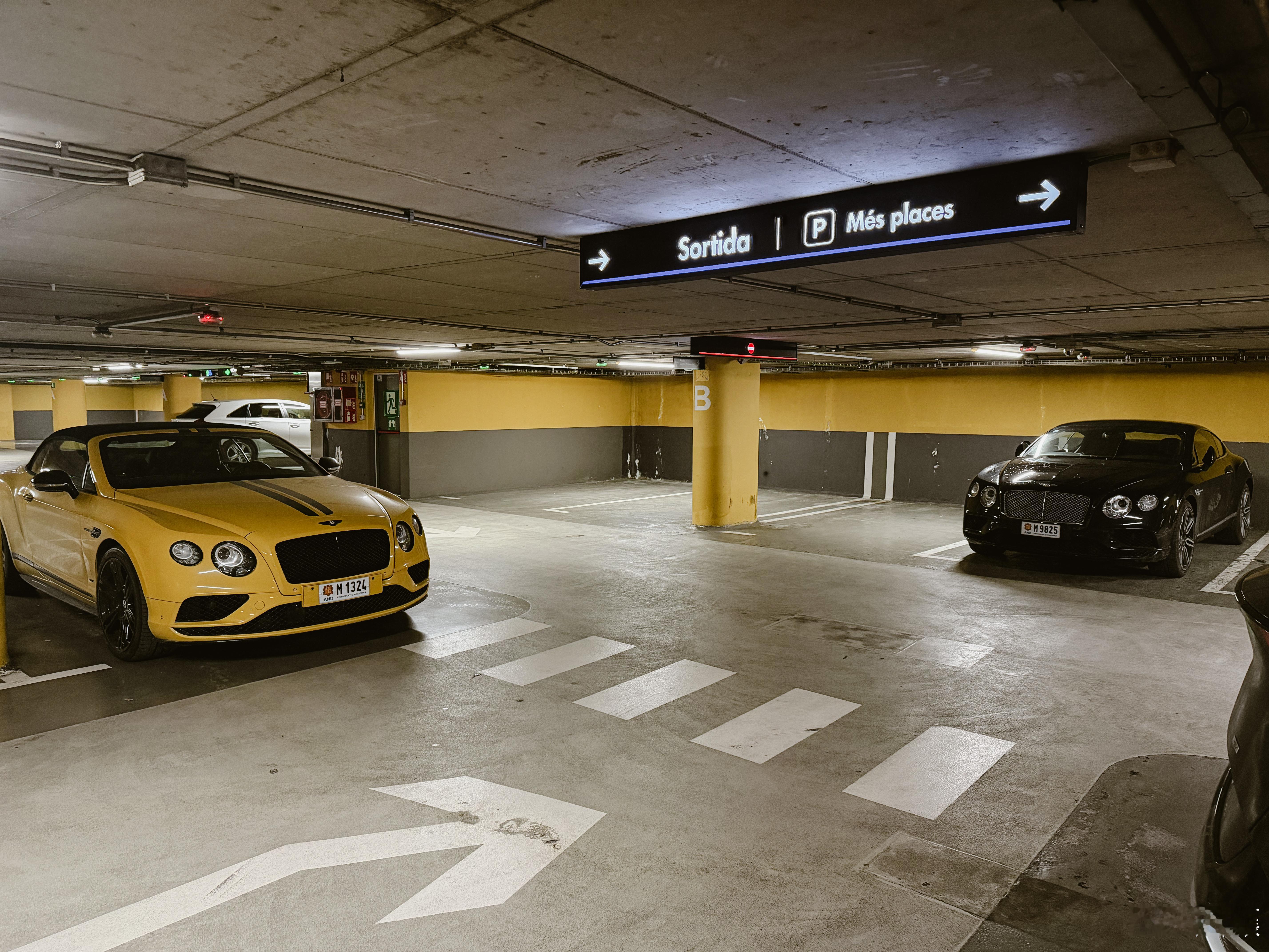 在一个税收低到离谱的国家会看到 