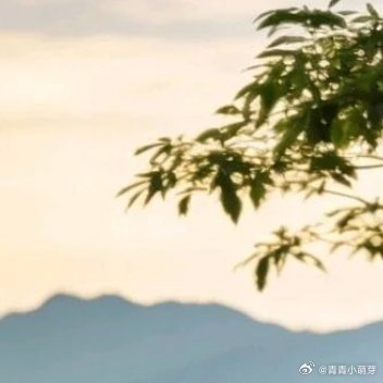 原谅擦去伤痕，释怀收纳遗憾，向前驱动人生。把过往轻轻放下，让心腾出位置装温柔，脚