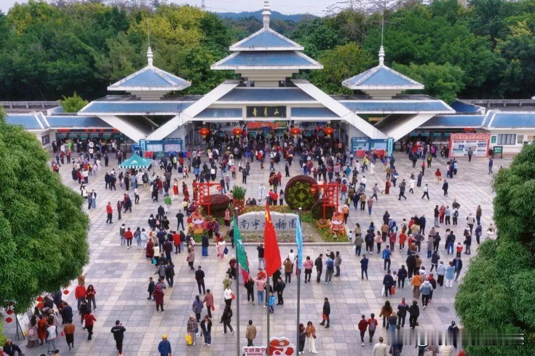 日游客量23.42万人！南宁青秀山大年初一游客量破历史记录！