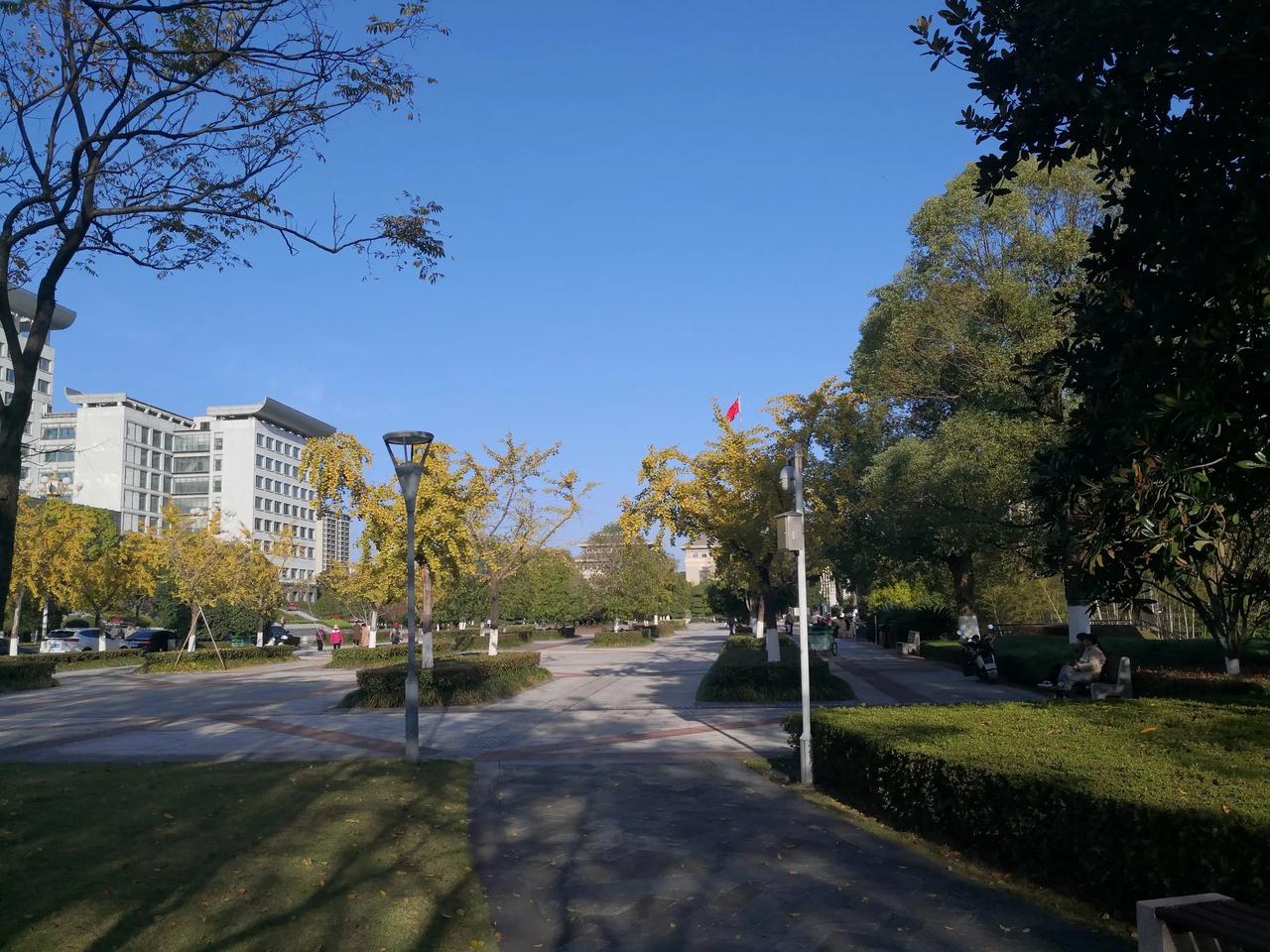 公园散步随拍去社保局办事，途经市民公园，好长时间没来这里了……。